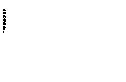 Thilo Kehrer Foundation